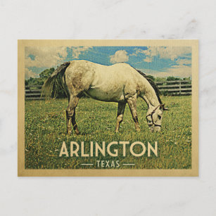 Arlington Texas Horse Farm -Vintage Travel Postcard