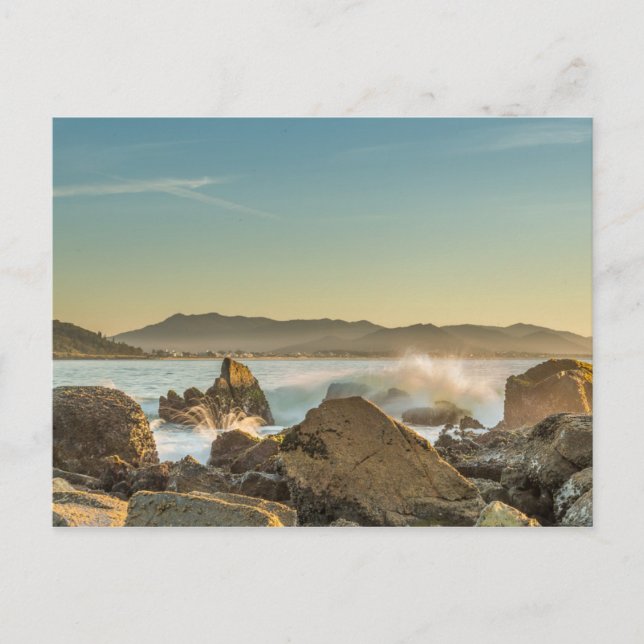 Armação Beach Postcard (Front)