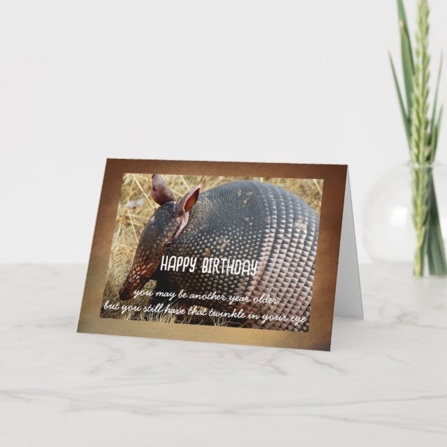 armadillo birthday card humour photo art  (Front)