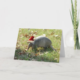 Armadillo Christmas card