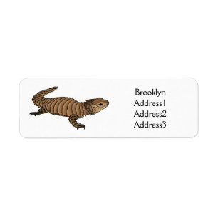 Armadillo girdled lizard cartoon illustration 