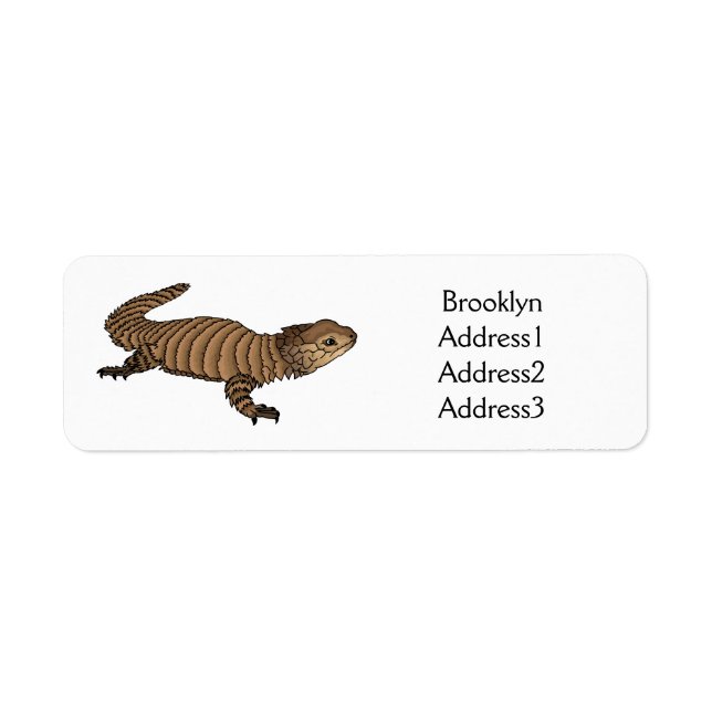 Armadillo girdled lizard cartoon illustration  (Front)