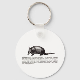 armadillo keychain