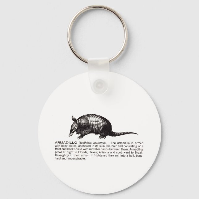 armadillo keychain (Front)