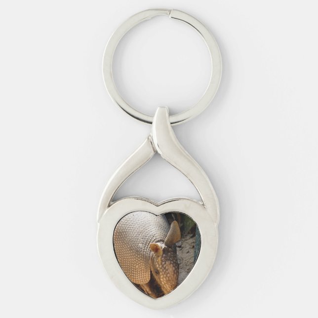 Armadillo Keychain (Front)