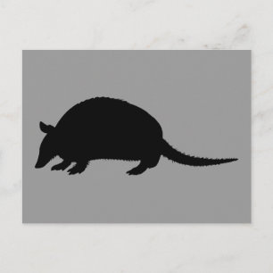 Armadillo Postcard