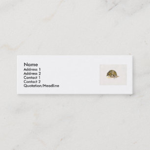 Armadillo profile/ business card