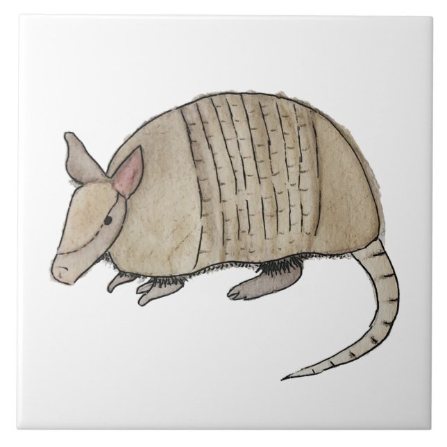 Armadillo Tile  (Front)