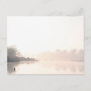 Armand Bayou fog Postcard