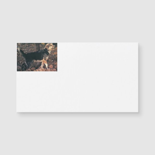 Armant full.png (Front)