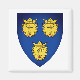 Armoiries de Dalmatie, Croatie Magnet