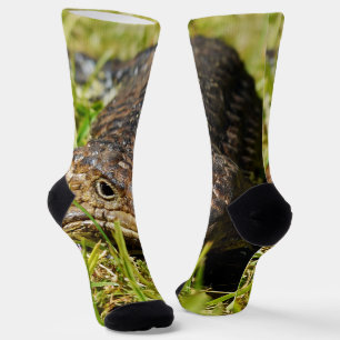 Armored Ambler: The Shingleback's Secret Stroll, Socks