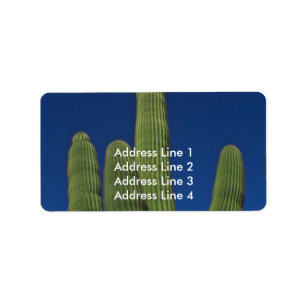 Arms Of A Saguaro Label