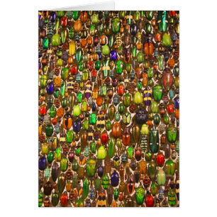 Army of Beetles and Bugs