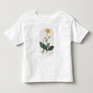 Arnica Montana from 'Phytographie Medicale' by Jos Toddler T-shirt