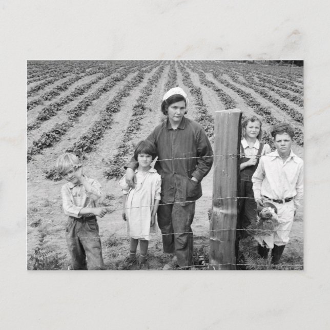 Arnold Family's New Farm - 1939 Postcard (Front)