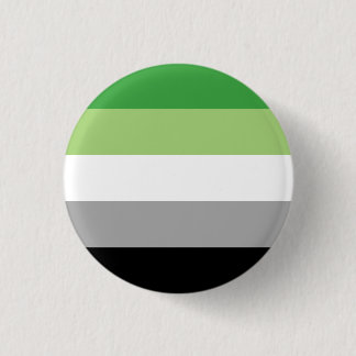 Aromantic/Aro Pride Flag 1 Inch Round Button