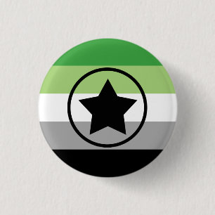 Aromantic/Aro Pride Flag with a Star in Circle 1 Inch Round Button