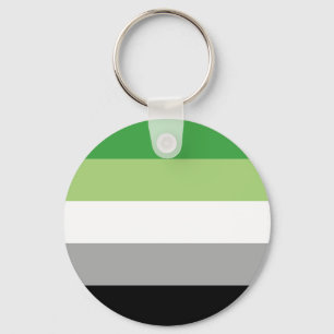 aromantic flag keychain