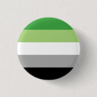 Aromantic Pride Button