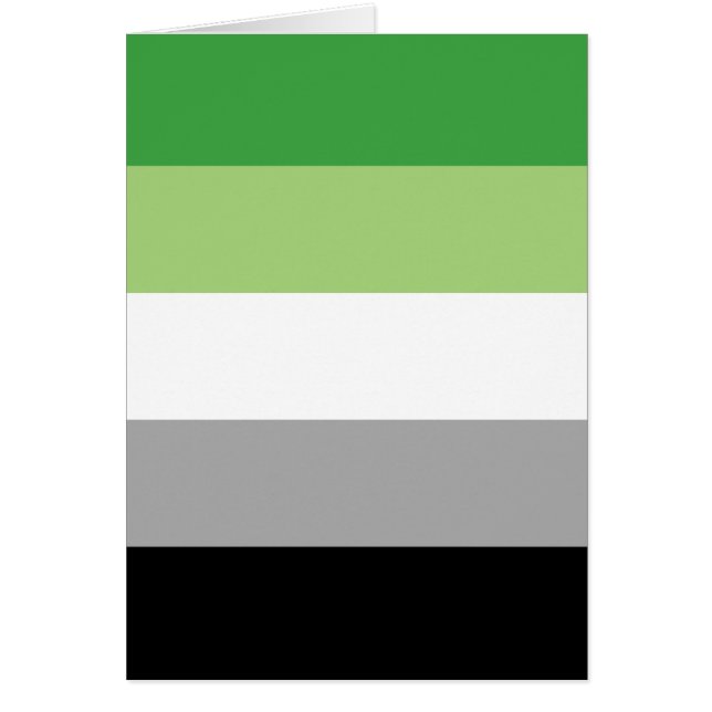 Aromantic Pride Flag LGBTQ (Front)