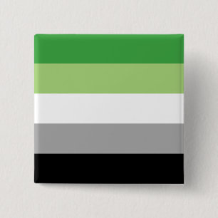 Aromantic Pride Flag LGBTQ 2 Inch Square Button