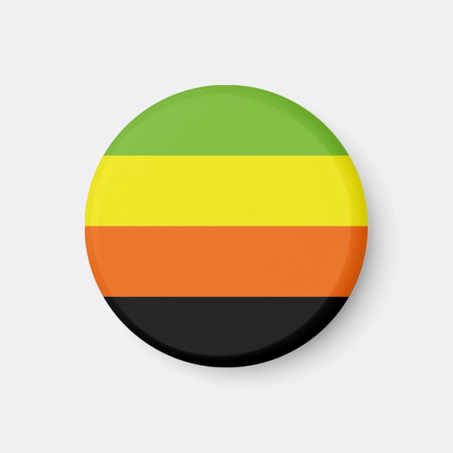 Aromantic Pride Flag Magnet (Front)
