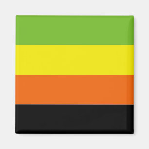 AROMANTIC PRIDE MAGNET