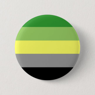 aromantic pride pin