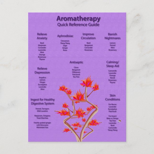 Aromatherapy Chart in Lavender Postcard (Front)