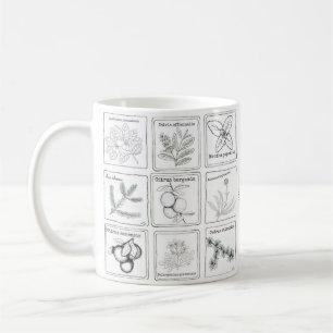 Aromatherapy Plant Sketch Mug
