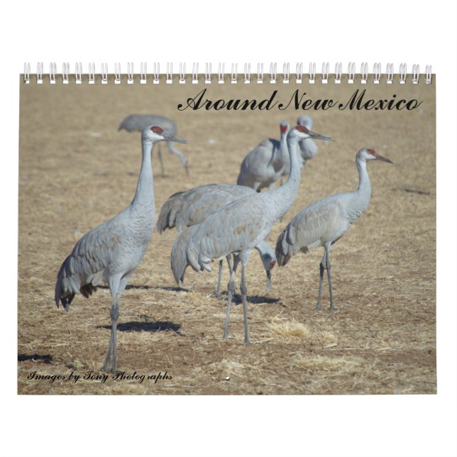 Around New Mexico Calendar (Cover)