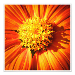 Around the Center Photo Print