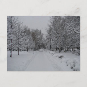 Around the world in 60 postcards. postcard