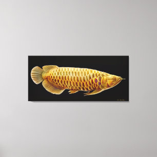 Arowana asiatique poisson toile enveloppé