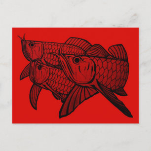 Arowana Post card