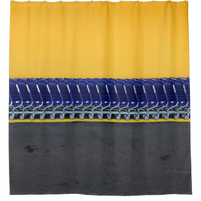 Arranged blue grocery carts (Front)
