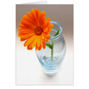 Arrangement floral