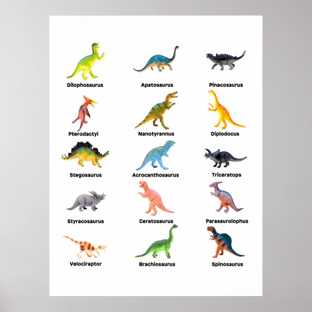 Array of Dinosaurs Poster (Front)