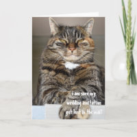 Arrêt Chat en colère Perdu Faire-part de mariage H