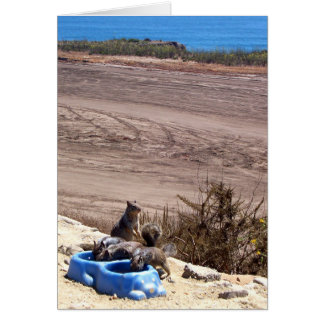 Arrêt de repos - Carte