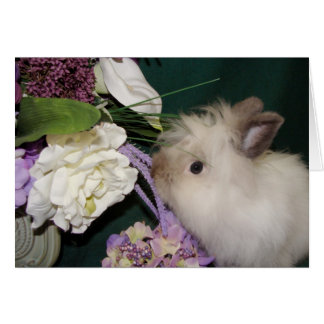 Arrêter et sentir les fleurs 3