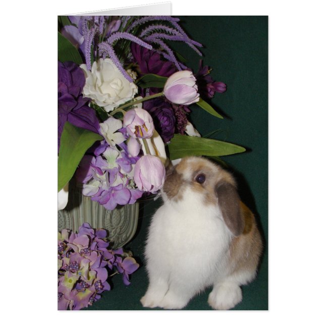 Arrêter et sentir les fleurs 4 (Devant)