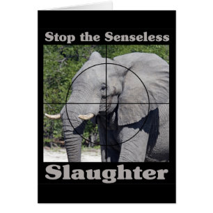 Arrêter l'abattage-éléphant