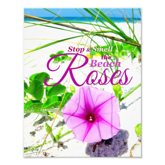 Arrêtez et sentez la plage Photo Rose (Devant)