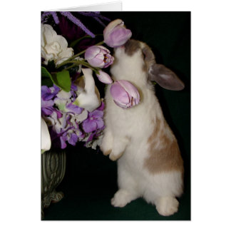 Arrêtez et sentez les fleurs