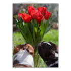 Arrêtez et sentez les tulipes