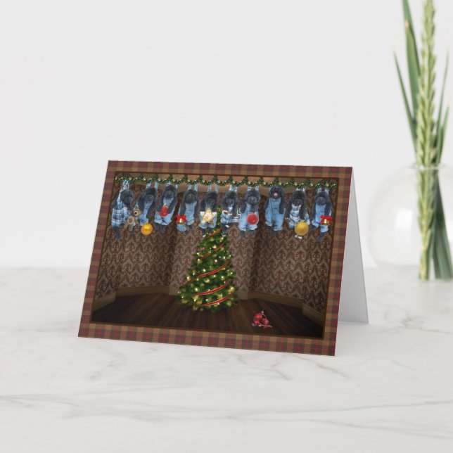 Arrière la carte de Noël (Devant)