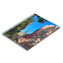 Arriving at the Keep