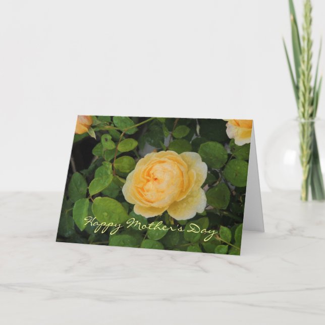 Arrosage sur la carte de fête des mères de Rose Ja (Devant)